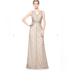 Tadashi Shoji-Lace V-Neck Gown with Pintuck Jersey Piping-Size Large